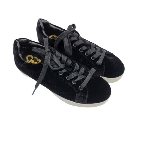 Circus by Sam Edelman Shoes - Circus Sam Edelman Caprice Velvet Sneaker Size 6M